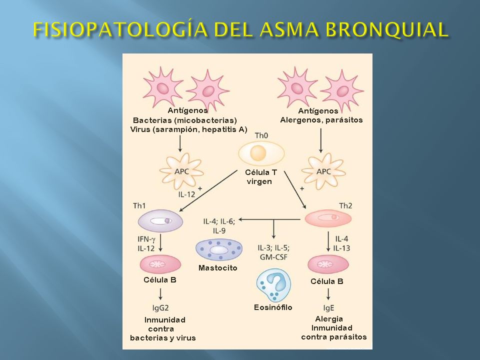 FISIOPATOLOGIA DA ASMA BRONQUICA PDF